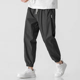 Trendy Workwear Men's Loose Trousers 2025 Spring And Summer Fashion Nine-Point Halen Pants Fashion Men's Casual Pants